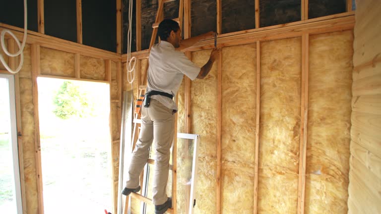 Best Radiant Barrier Insulation  in Waxahachie, TX